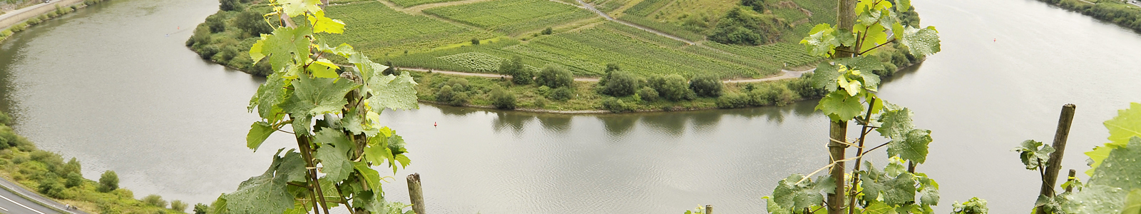 Blick von oben auf Moselschleife ©DLR